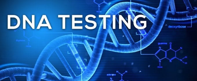 dna testing